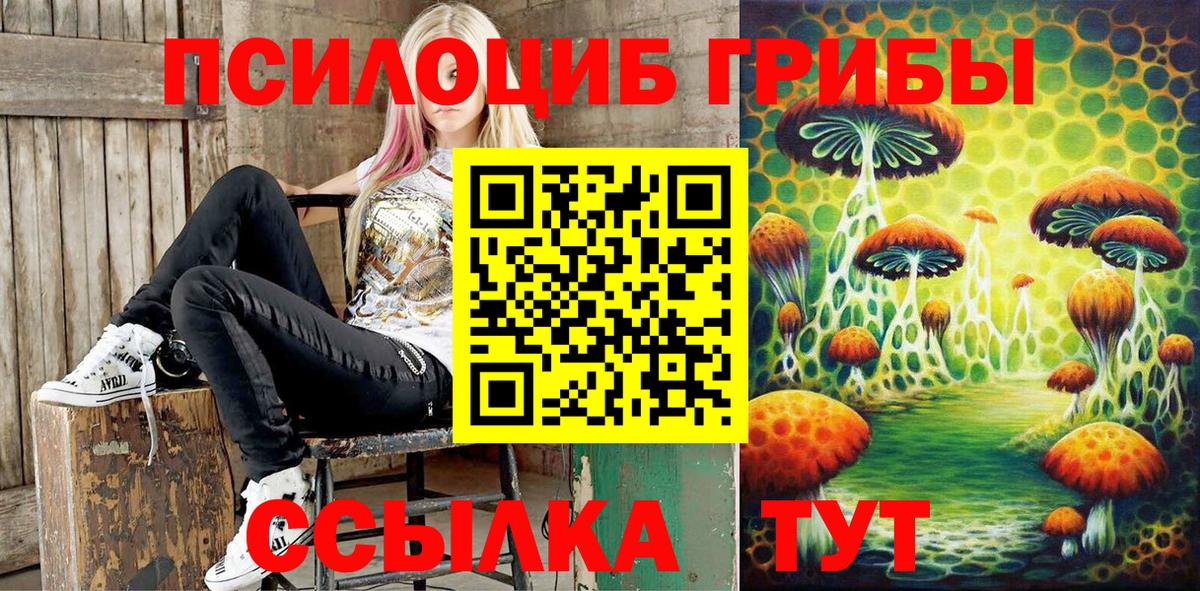 Галлюциногенные грибы Psilocybine cubensis Коряжма